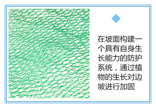 【山东供应青岛三维植被网低价三维植被网厂家】- 