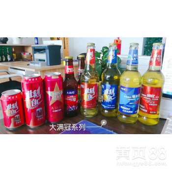 青岛大满冠啤酒招商